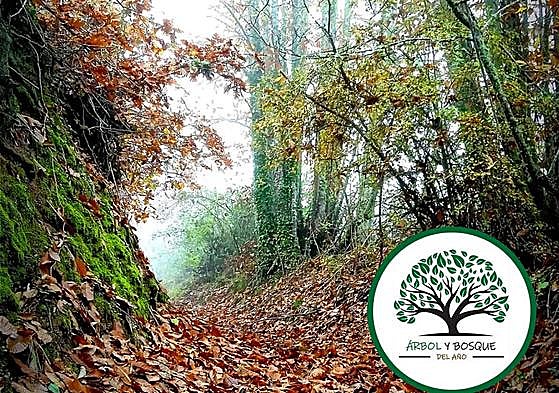 Imagen de Instagram del Soto de Villar de los Barrios en el que se anuncia el premio.