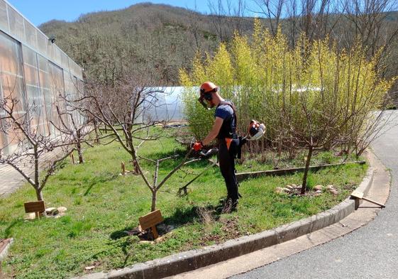 El programa se desarrollará en las instalaciones de Ciuden Vivero ubicado en Pobladura de las Regueras.