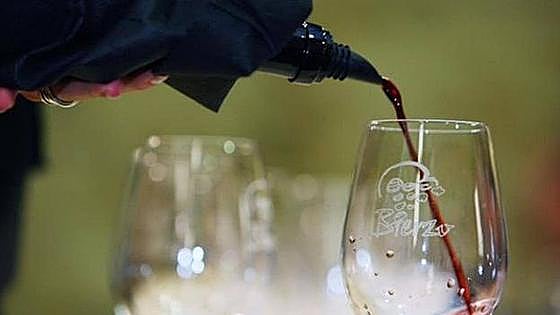 Los vinos del Bierzo se harán visibles en Alemania