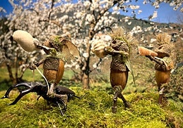 Los bellotines, un proyecto para concienciar