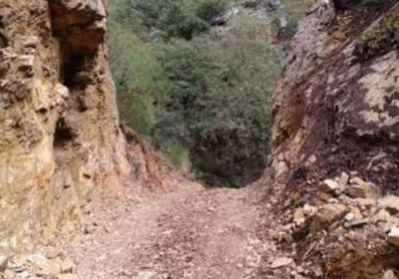Imagen del camino tras los trabajos.