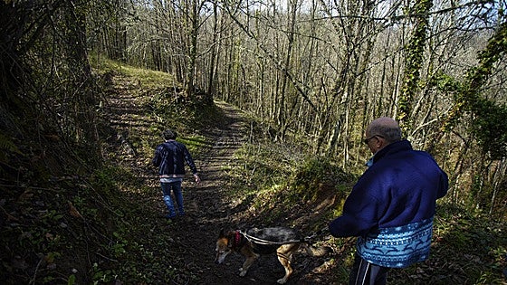 El bosque que vuelve a latir