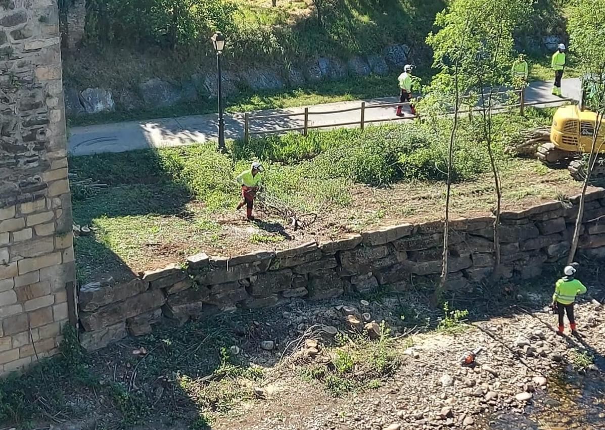 Imagen secundaria 1 - Imágenes de las labores de limpieza del río Burbia.
