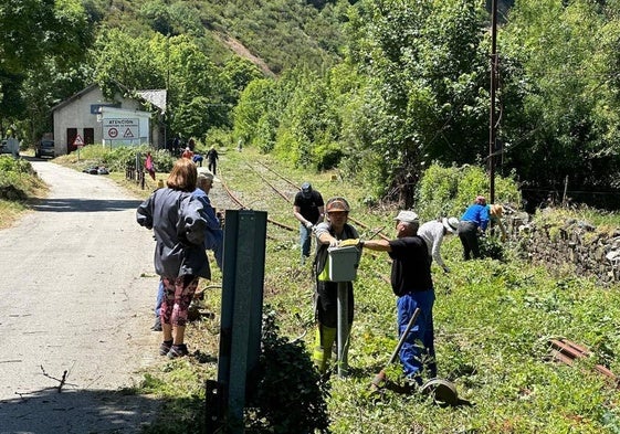 Voluntarios de Promonumenta y la Asociación Cultural Ferroviaria Berciana limpiaron y desbrozaron la vía y la estación del Ponfeblino en Palacios del Sil.