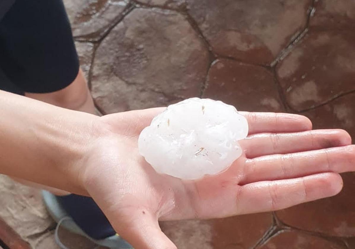 El granizo de los últimos días, un «varapalo» para los viñedos del Bierzo