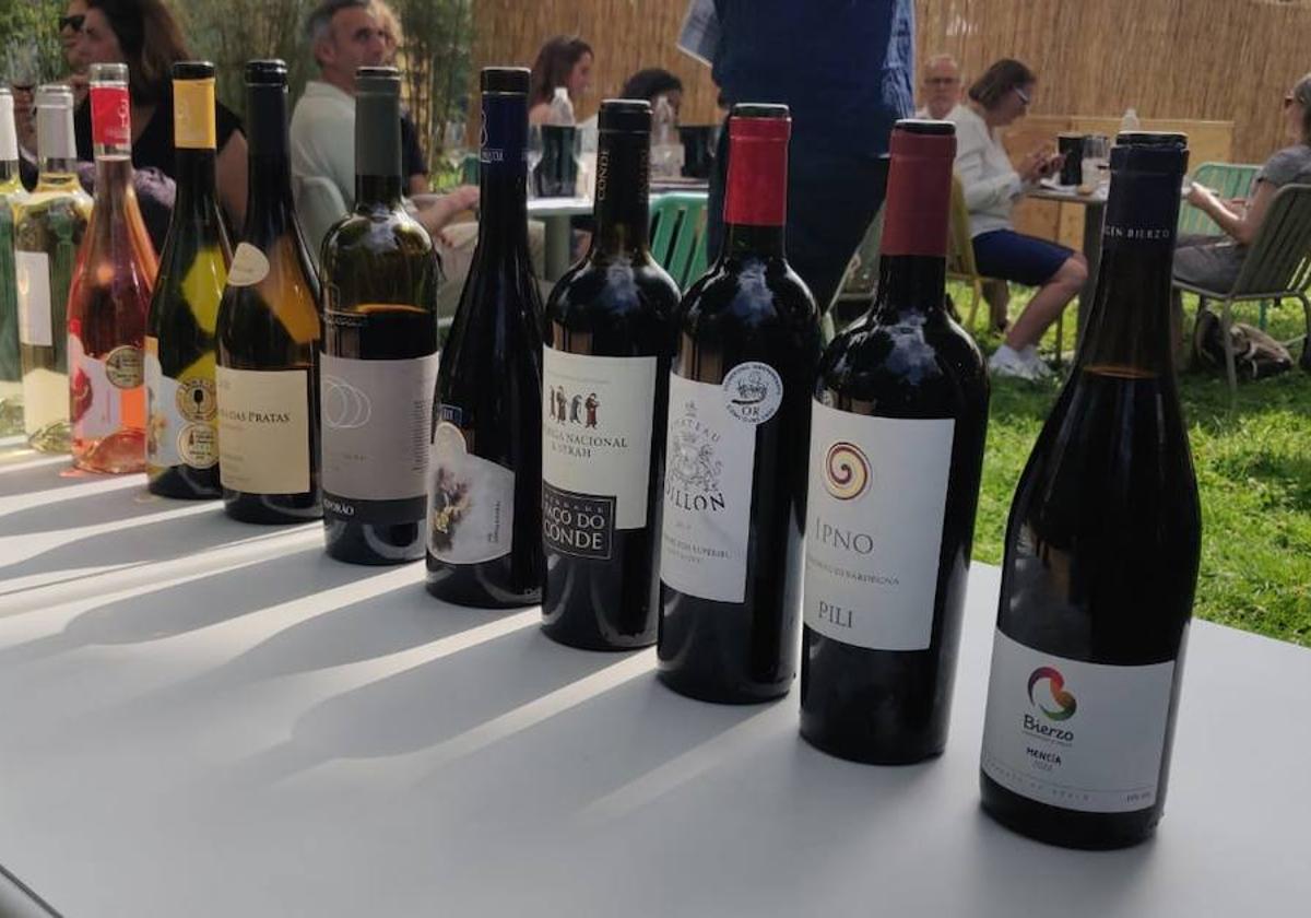 La ULE participó con un vino de la DO Bierzo, un tinto mencía de 2022.