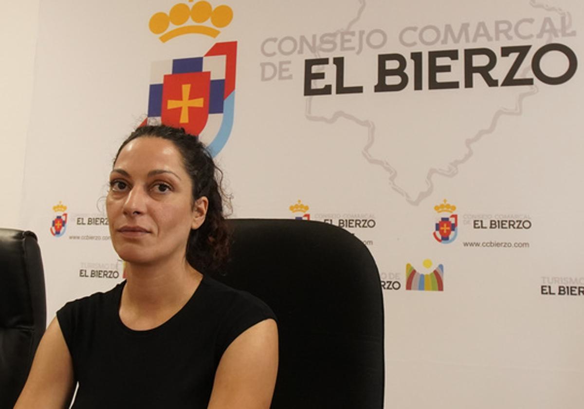 El Consorcio del Ponfeblino licita esta semana la redacción del proyecto