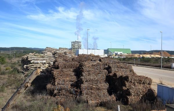 Acopios de madera junto a la planta de Forestalia de Cubillos del Sil, en una imagen de archivo.