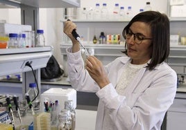 Cristina Viéitez, científica del CSIC en el Instituto de Biología Funcional y Genómica