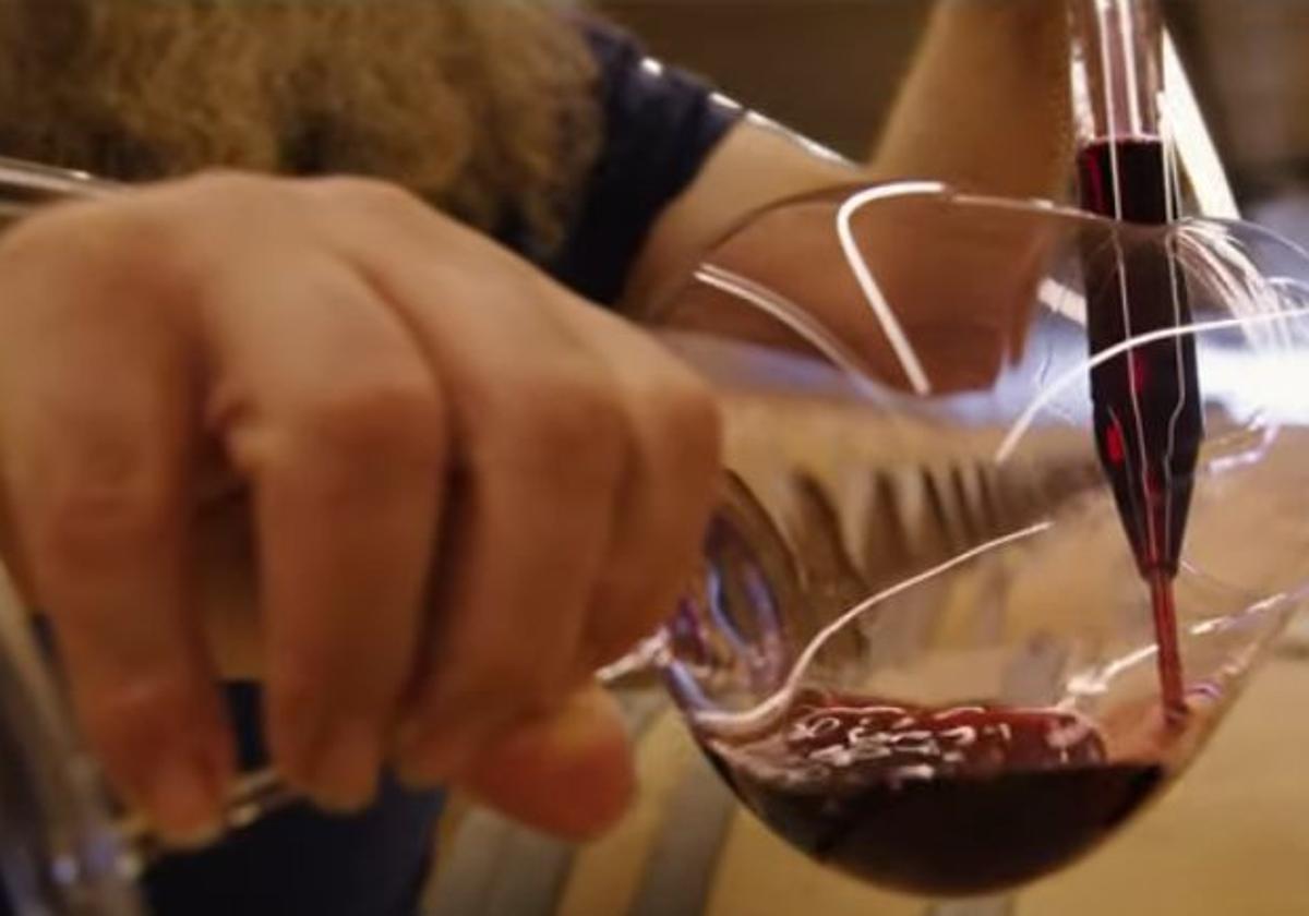 Captura del video promocional del Bierzo en Fitur 2025.