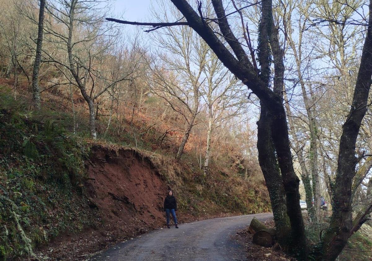 Imagen principal - Los árboles cercan el trazado de la carretera que comunica Las Herrerías con Lindoso, en Vega de Valcarce.