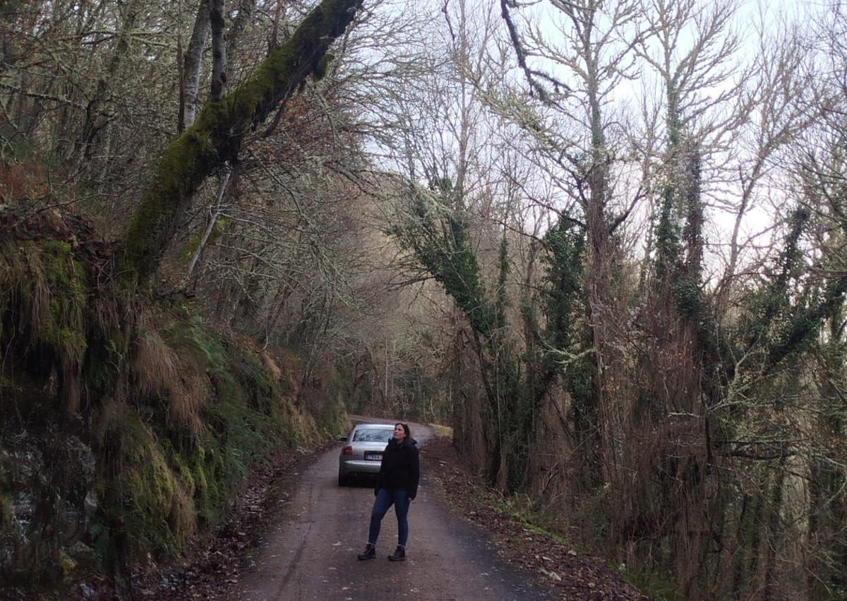 Imagen secundaria 1 - Los árboles cercan el trazado de la carretera que comunica Las Herrerías con Lindoso, en Vega de Valcarce.