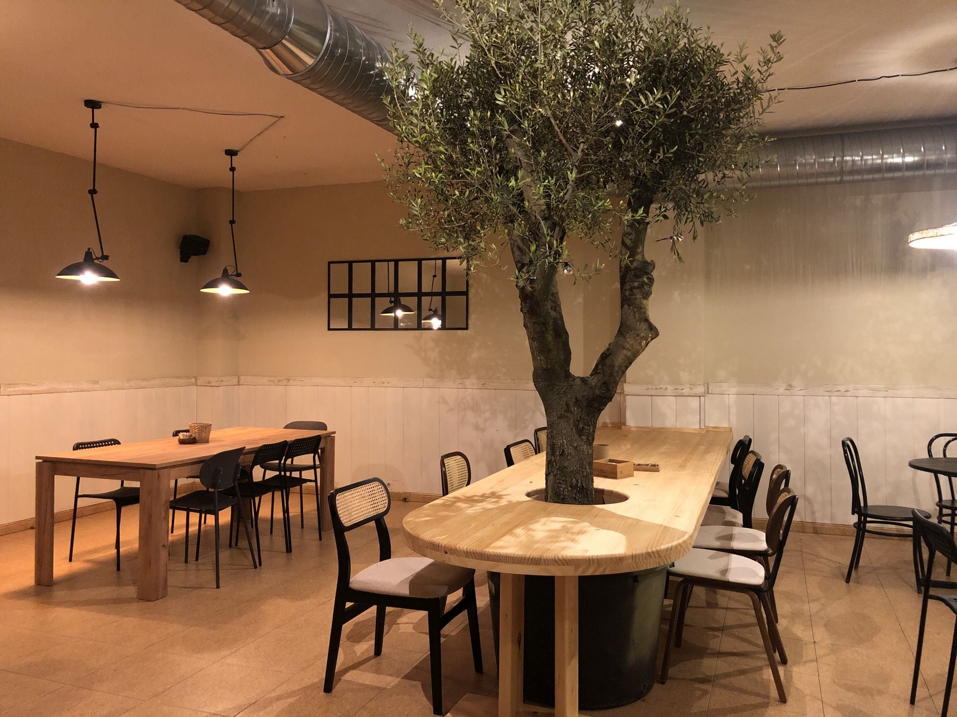 Un gran olivo preside uno de los rincones del MOA The Bakery de Ponferrada.