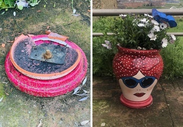 Vandalizan la decoración de Santo Tomás: «Arrancaron el tiesto entero de cuajo»
