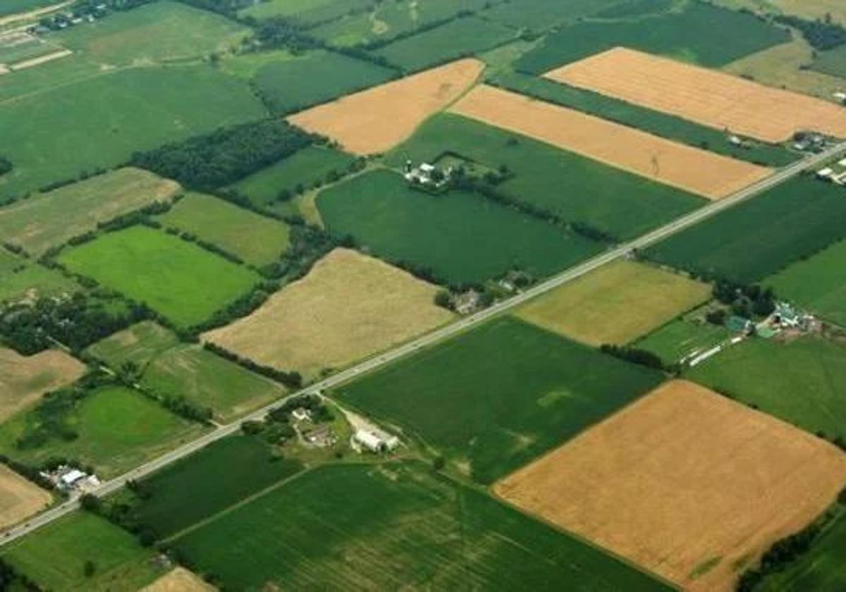 La Junta destina 1,5 millones a infraestructuras de la concentración parcelaria de Noceda e Igüeña