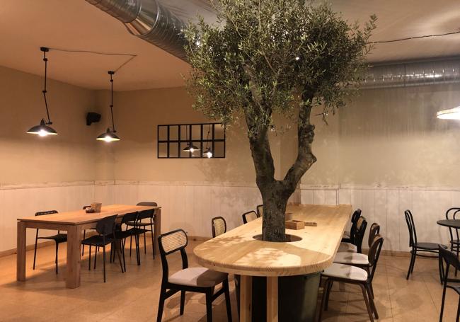 Un gran olivo preside uno de los rincones del MOA.