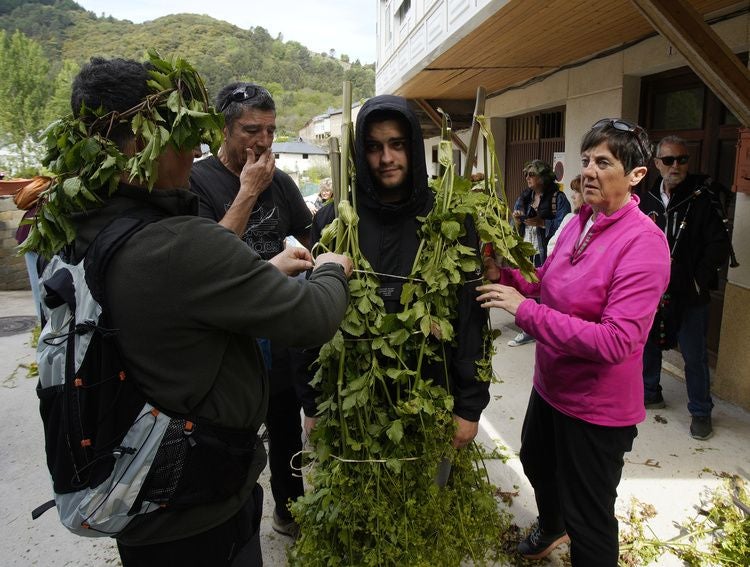Villafranca del Bierzo celebra la 'Festa dos Maios'