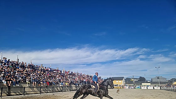 La Feria del Caballo regresa a Camponaraya