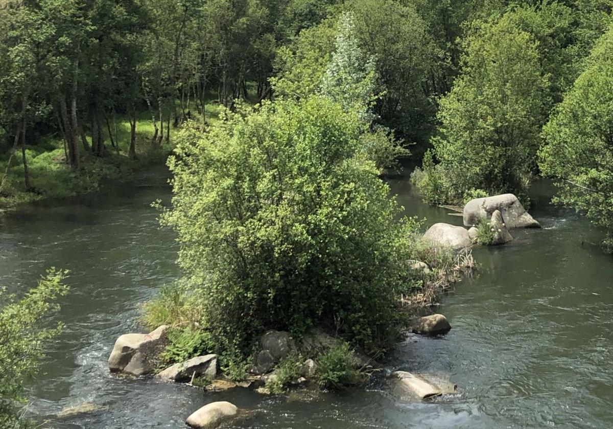 Imagen del río Sil a su paso por Ponferrada.
