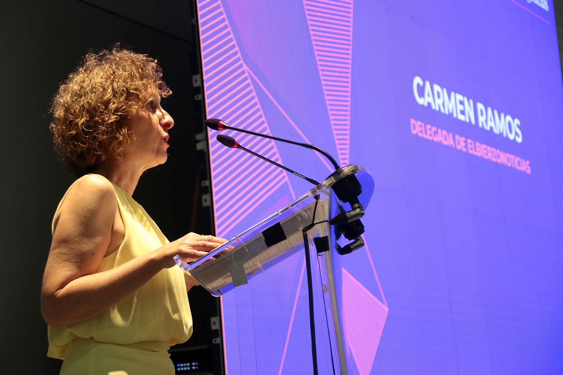 Primera gala de los Premios de Elbierzonoticias