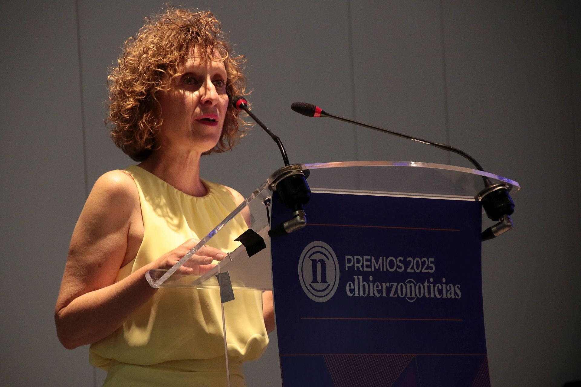 Primera gala de los Premios de Elbierzonoticias