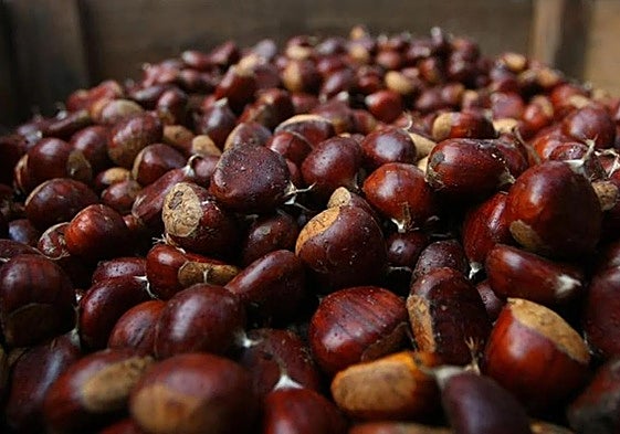 Imagen de castañas.