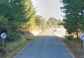 Carretera de acceso a Cubillinos.