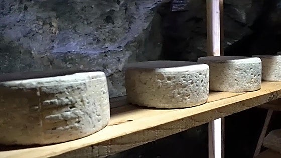 El Bierzo reabre una mina de hierro como centro de maduración de queso