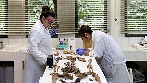 Ponferrada crea su banco genético para identificar a víctimas de la Guerra Civil
