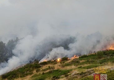 El incendio de nivel 1 en Olleros de Alba está «prácticamente sin llama»