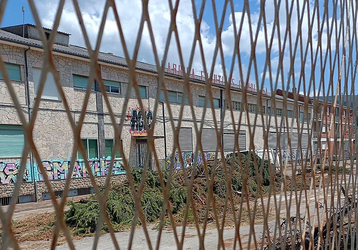 Árboles cortados junto a la nave de Frimols a la entrada de Molinaseca.