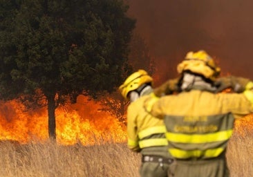 Así son los grandes incendios que calcinan León y El Bierzo