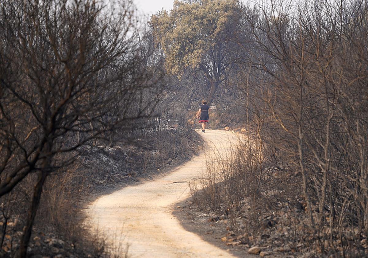 Incendio en Las Médulas.