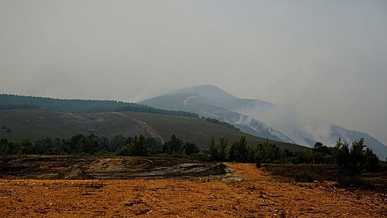El incendio que calcinó el Pico El Miro en Anllares del Sil