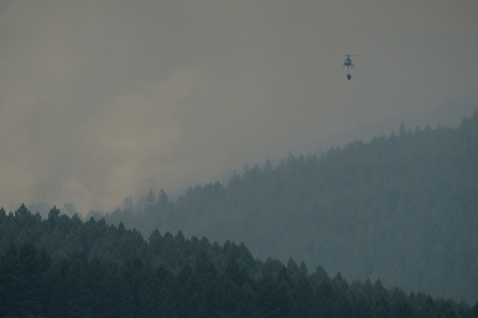 Incendio en Anllares del Sil.