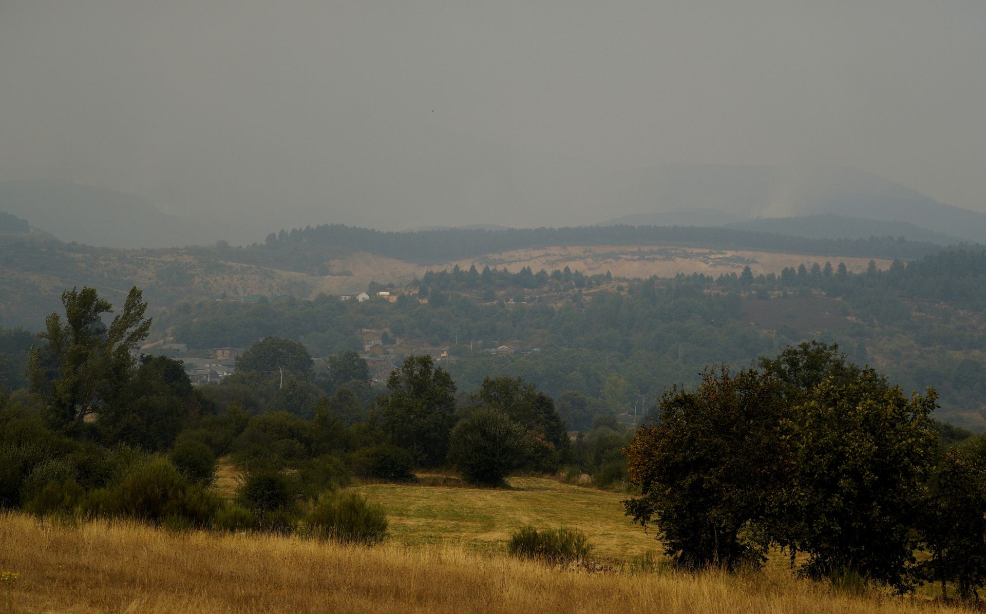 Incendio en Anllares del Sil.