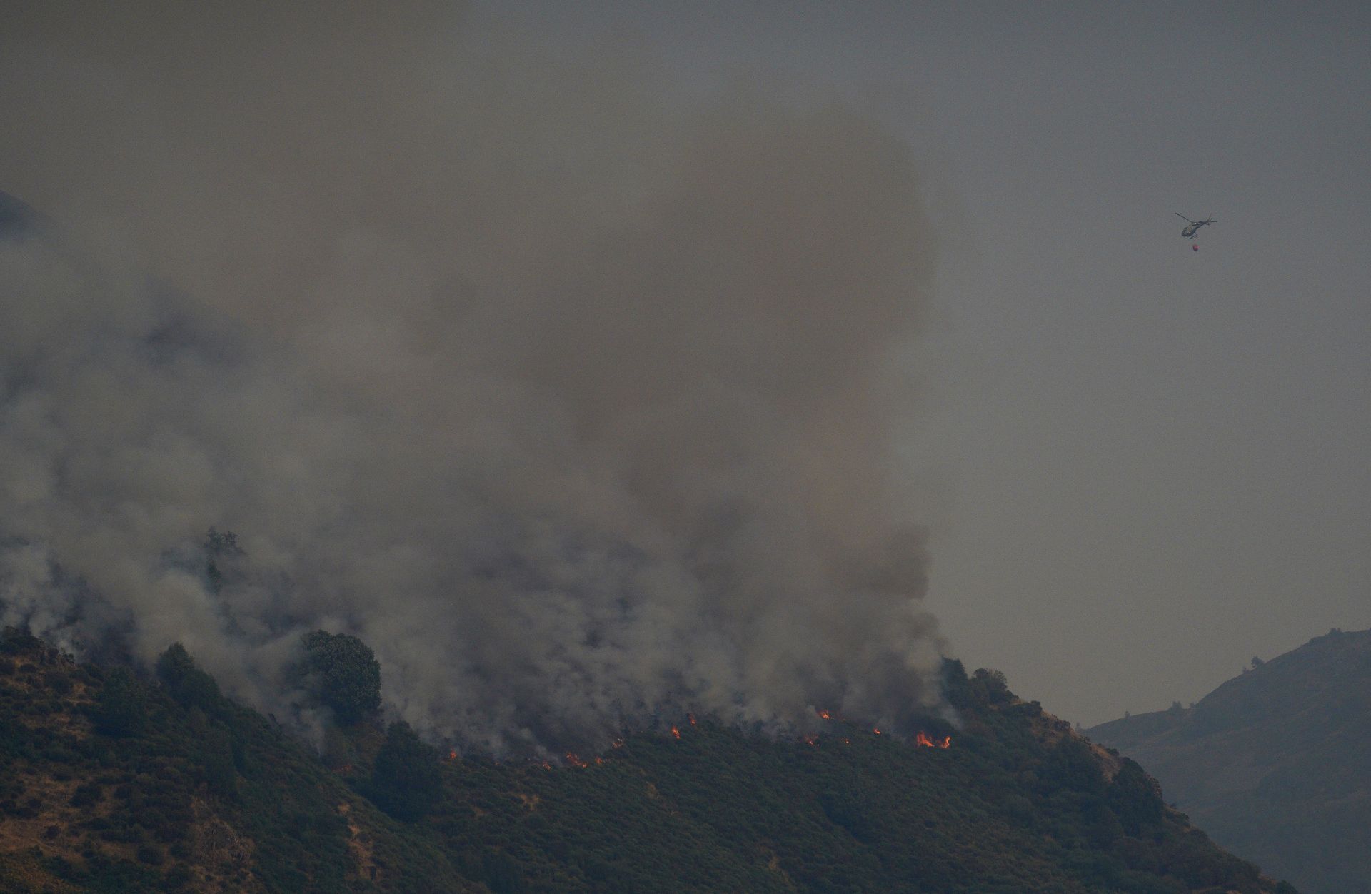 Incendio forestal en Salientes