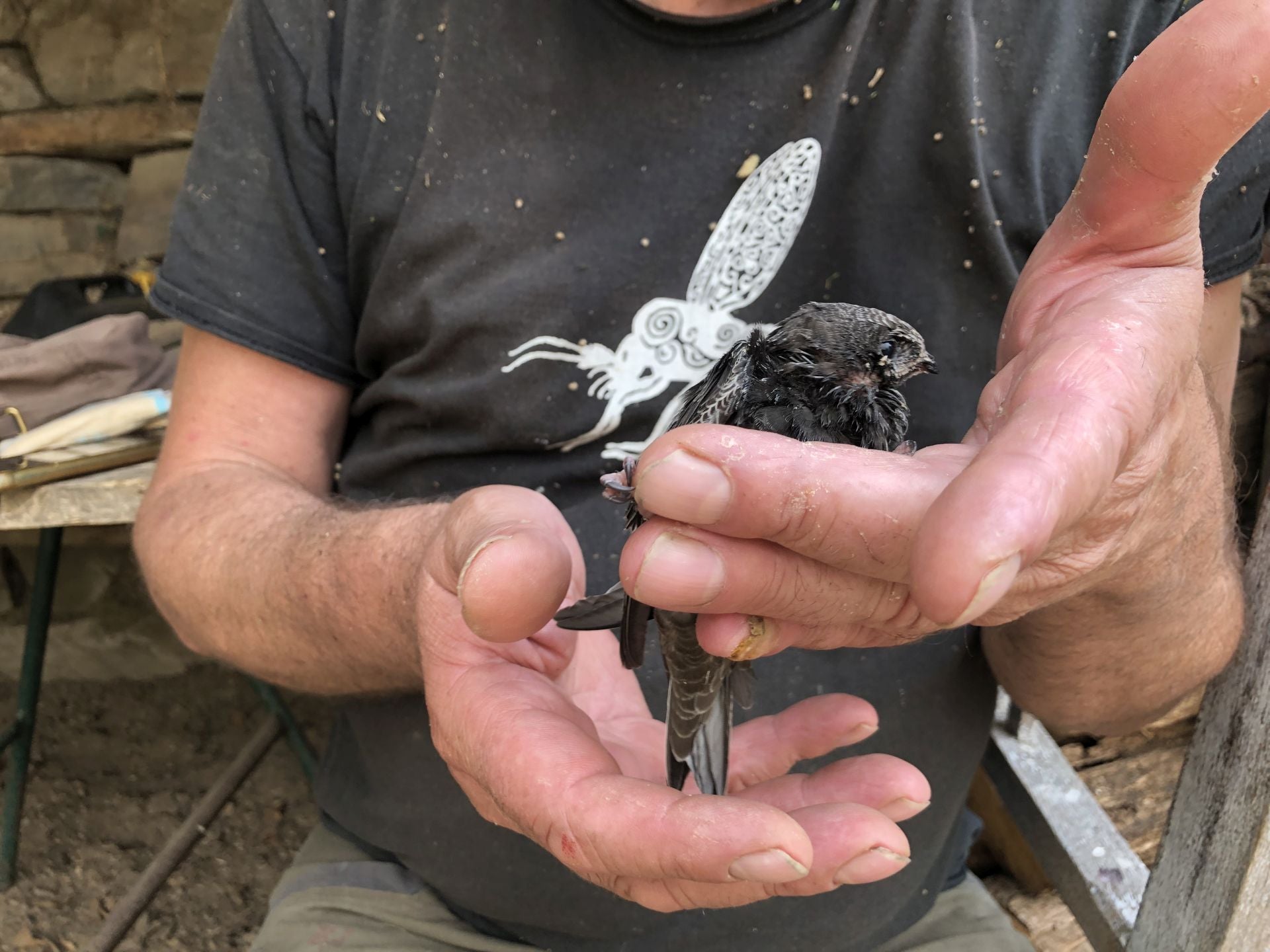 Los vecinos han logrado salvar algunas de las especies que habitan en la Reserva Ornitológica de Palacios de Compludo.