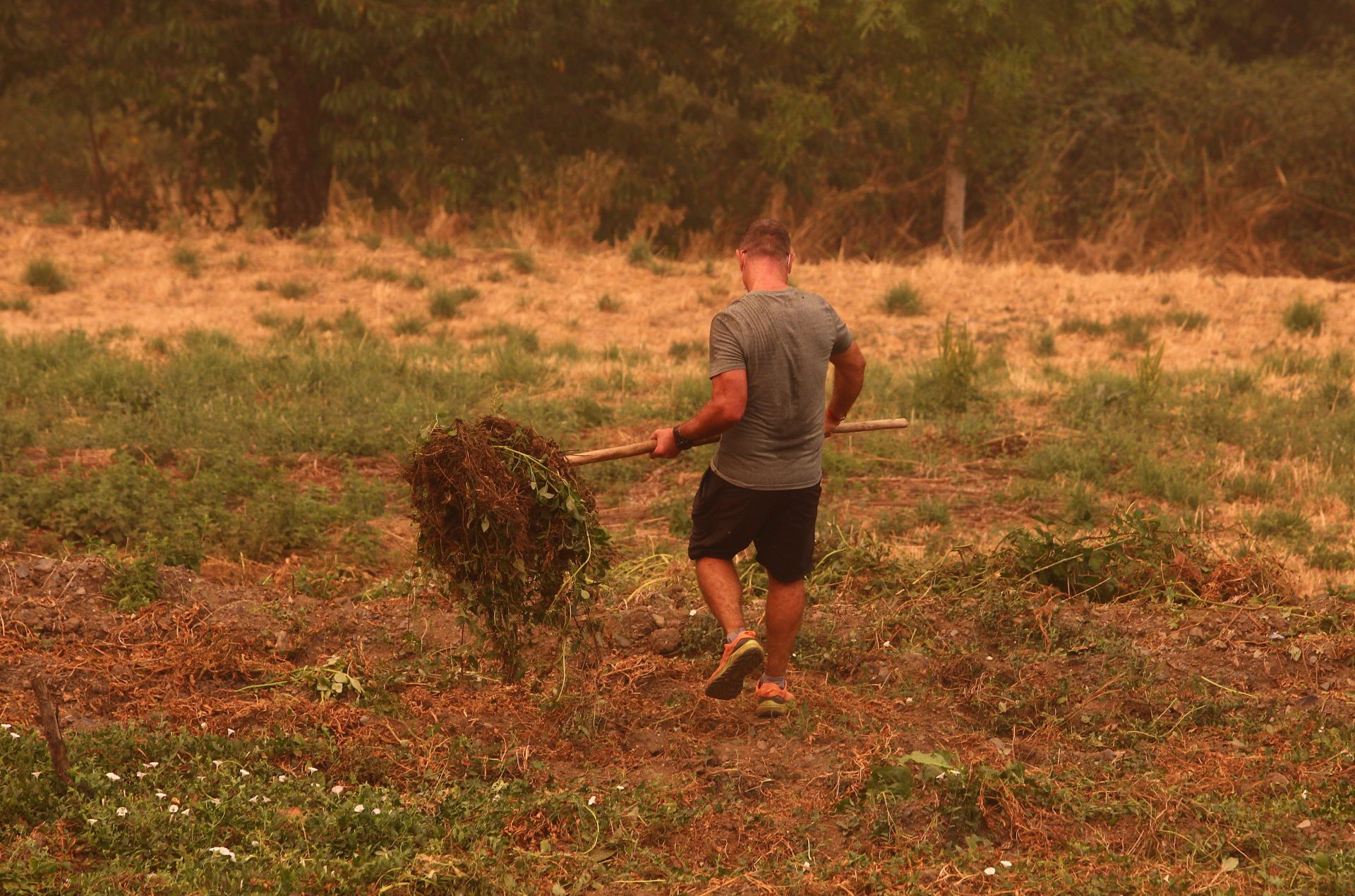 Las imágenes del desalojo de los vecinos de Lusio, por el incendio