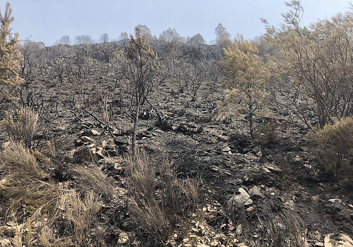 «Es una angustia lo que hemos vivido en el monte»