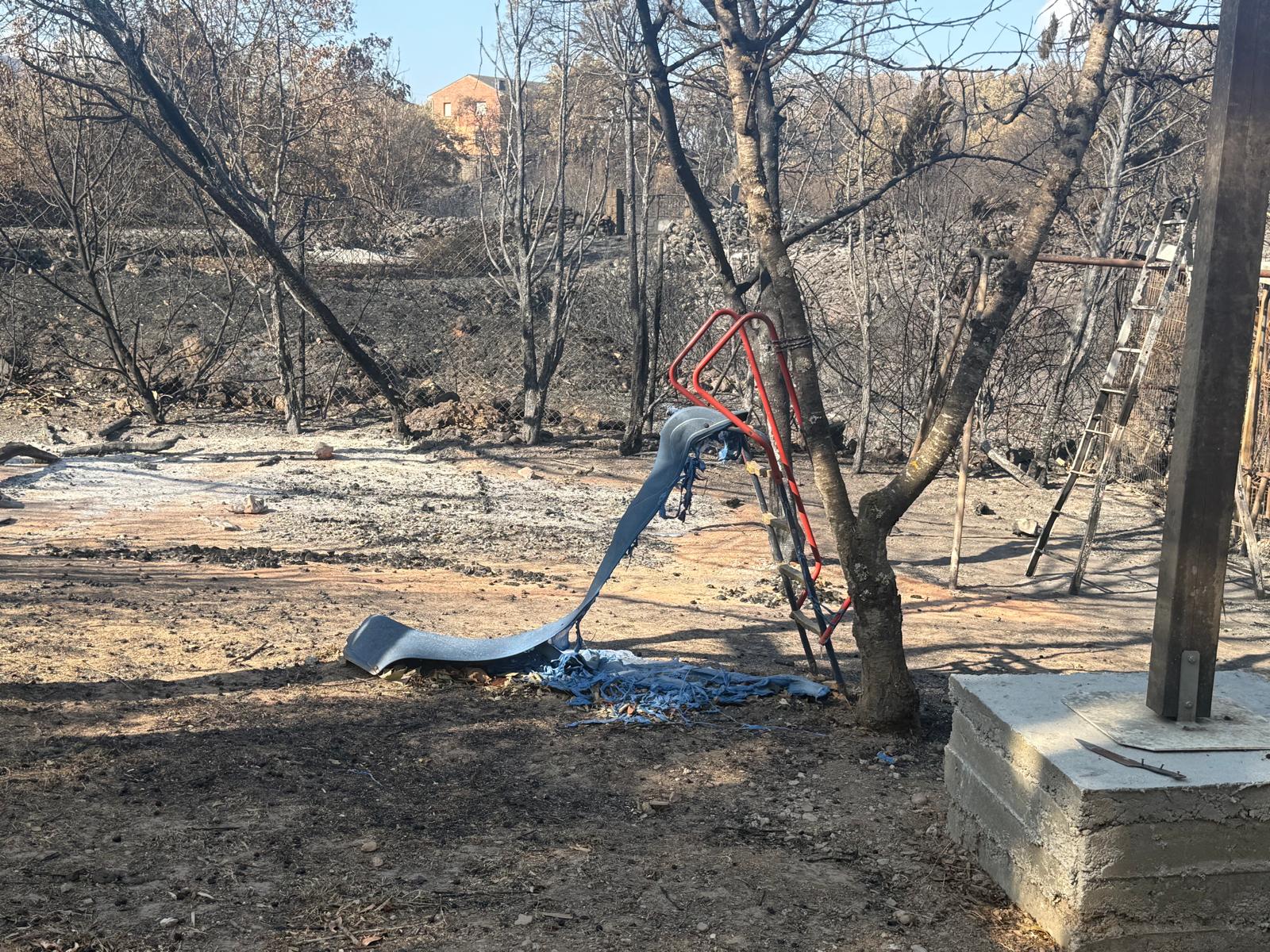 Un nuevo resurgir tras las llamas