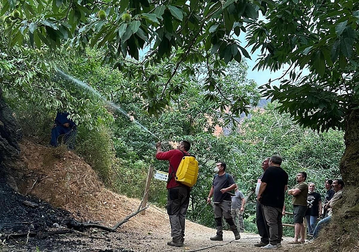 Imagen principal - Vecinos de Médulas realizando labores de vigilancia para controlar la zona y que no reavivara el fuego.