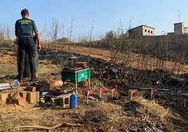 Imagen del incendio de Molinaseca