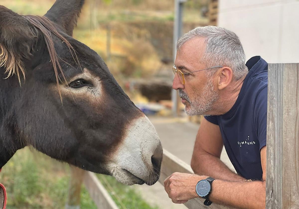 El burro Risto junto a Manuel Otero, propietario de la bodega Encima Wines de Molinaseca.