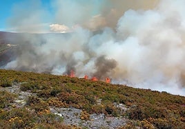 Incendio en El Bierzo, en una imagen de archivo.