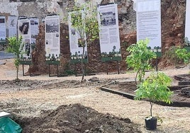 Imagen de la plantación del Jardín Romántico de la Casa de Enrique Gil y Carrasco en Villafranca del Bierzo.