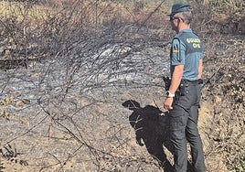 Imagen de uno de los puntos del incendio provocado este sábado en San Juan de Paluezas.