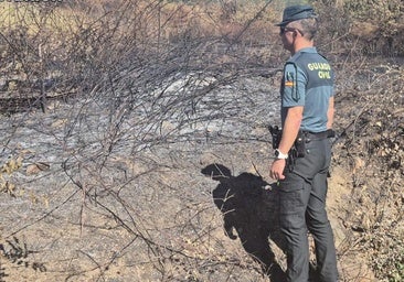 Detenido el presunto pirómano de San Juan de Paluezas