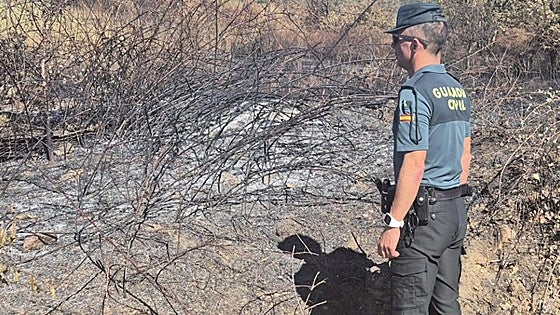 Detenido el presunto pirómano de San Juan de Paluezas