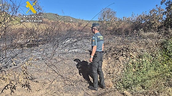 Decretan el ingreso en prisión del presunto pirómano de San Juan de Paluezas